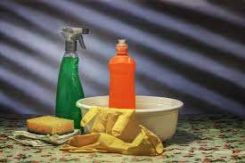 Disinfectants Market