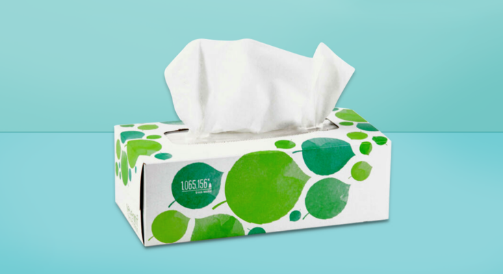 Facial Tissues Market