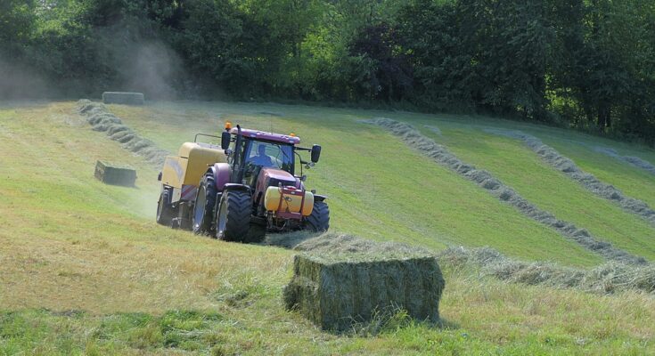 Haying Machines Market