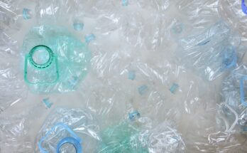 Polyethylene Terephthalate Global Market