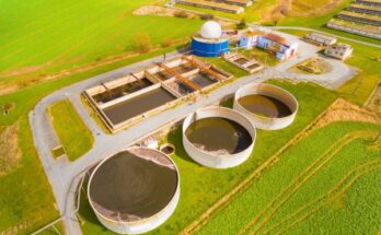 Biogas Market