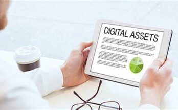 Digital Asset Management Market