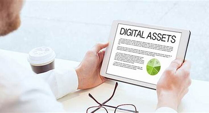 Digital Asset Management Market