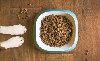 Animal And Pet Food Global Market