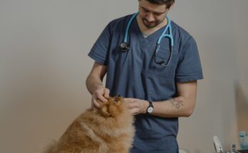 veternary clinics