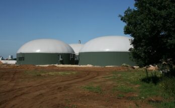 Biogas Market