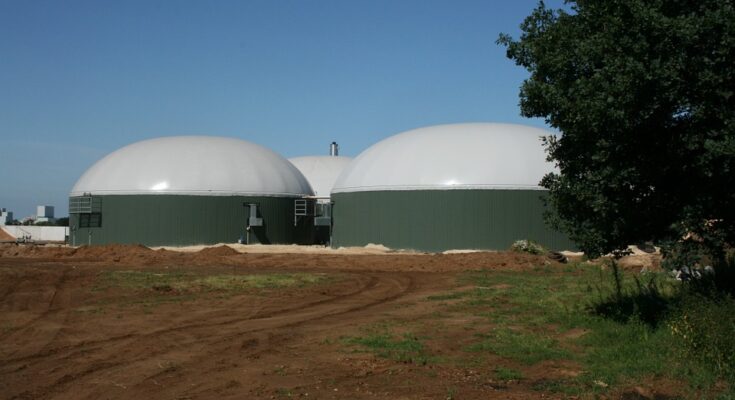 Biogas Market