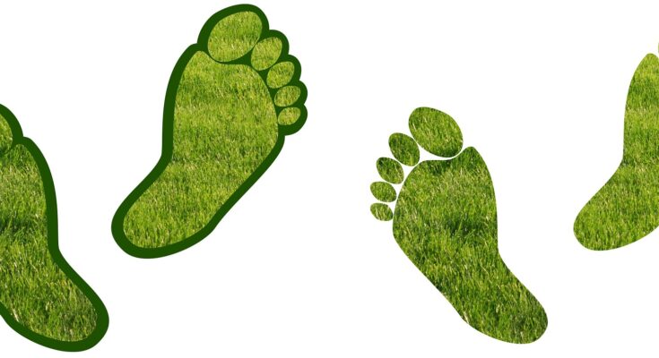 Carbon Footprint Management Market