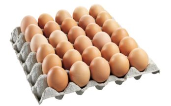 Egg Market