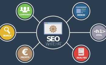 Search Engine Optimization Services Market