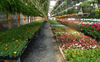 Greenhouse, Nursery, And Flowers Global Market