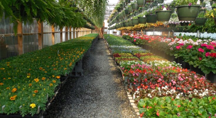 Greenhouse, Nursery, And Flowers Global Market