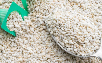 vermiculite market