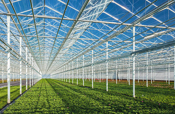 commercial greenhouse market