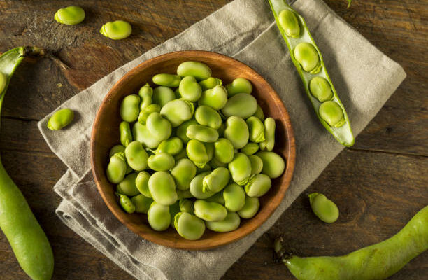 faba beans market