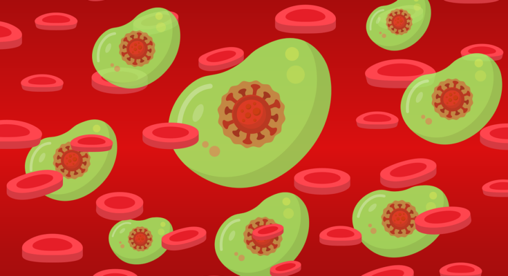 Conjugated Monoclonal Antibodies Market