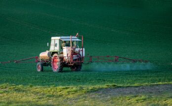 Herbicides Global Market