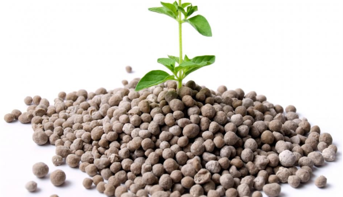 phosphate fertilizer market