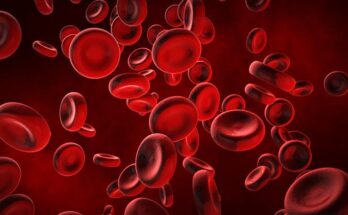 blood and blood components market