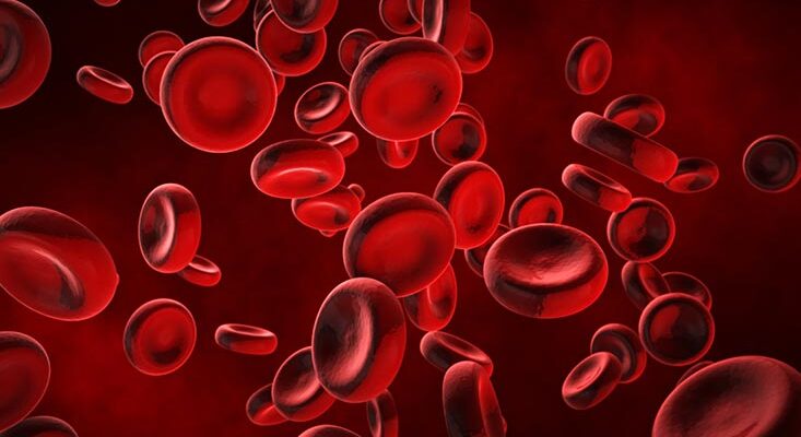 blood and blood components market