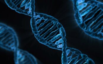 CRISPR technology market