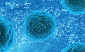 induced pluripotent stem cell (iPSC) market