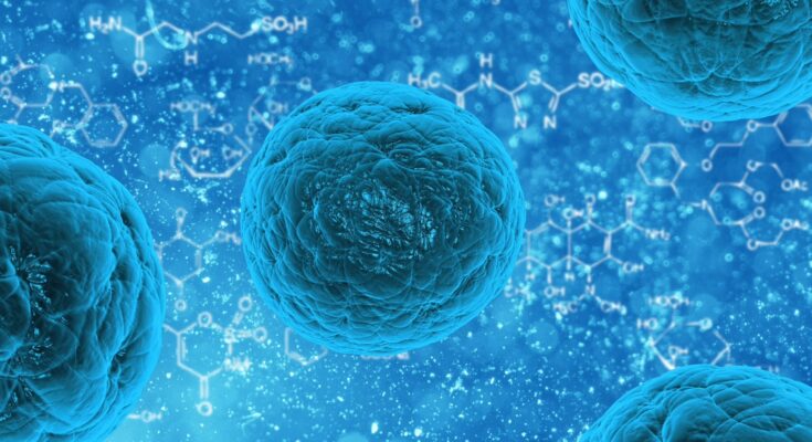 induced pluripotent stem cell (iPSC) market