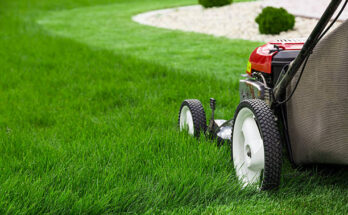 push lawn mowers market