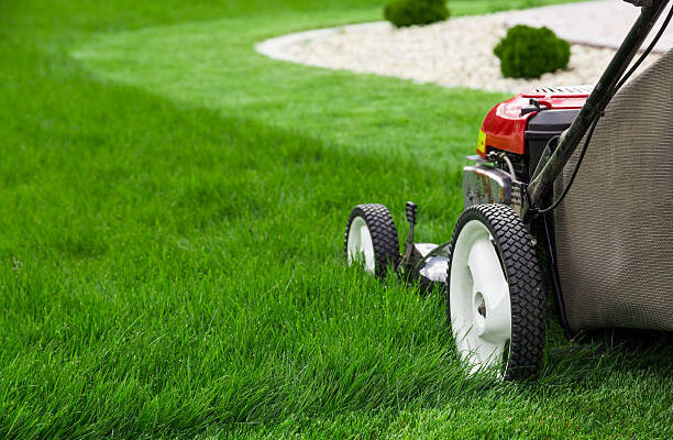 push lawn mowers market