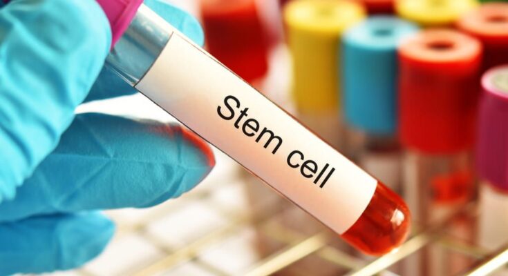 stem cell/cord blood banking market