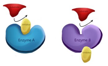 Checkpoint Inhibitors Global Market