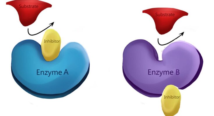 Checkpoint Inhibitors Global Market