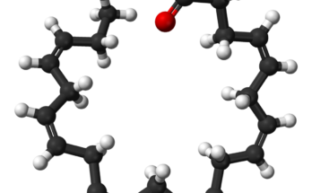 Fatty Acids Global Market