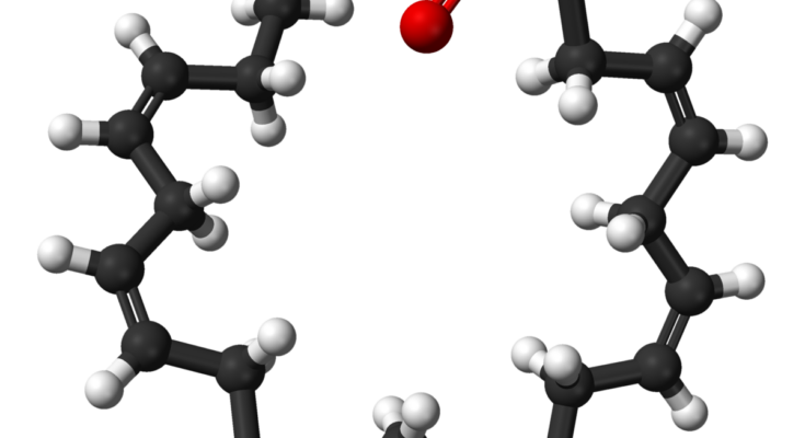 Fatty Acids Global Market