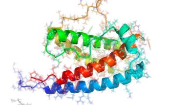 Filgrastim Biosimilars Global Market Report 2021 by The Business Research Company is the most comprehensive report available on the market, being wide-ranging both in terms of chronology and geography. It covers the historic period – 2015-2020, and the forecast period – 2021-2025, with additional forecasts for 2025-2030. The report helps gain a truly global perspective as it covers 60 geographies, focusing on major economies in each region – Asia-Pacific, Western Europe, Eastern Europe, North America, South America, Middle East, Africa. TBRC’s market report includes a chapter on the COVID-19 impact on the filgrastim biosimilars industry, which gives valuable insights on supply chain disruptions, logistical challenges, and other economic implications of the virus on the market and how companies can strategize to bounce back from it. With updated market numbers according to the effects of the coronavirus, the report provides the most accurate expected filgrastim biosimilars market growth numbers from 2021-2030. Request a Sample of the report: https://www.thebusinessresearchcompany.com/sample.aspx?id=4016&type=smp The global filgrastim biosimilars market is expected to grow from $0.72 billion in 2020 to $0.77 billion in 2021 at a compound annual growth rate (CAGR) of 6.9%. The growth is mainly due to the companies resuming their operations and adapting to the new normal while recovering from the COVID-19 impact, which had earlier led to restrictive containment measures involving social distancing, remote working, and the closure of commercial activities that resulted in operational challenges. The filgrastim biosimilars market is expected to reach $1.04 billion in 2025 at a CAGR of 8%. View more on the report: https://www.thebusinessresearchcompany.com/report/filgrastim-biosimilars-global-market The Filgrastim Biosimilars Global Market Report 2020-30 by The Business Research Company evaluates filgrastim biosimilars market size, growth rate, drivers, filgrastim biosimilars industry trends, and major companies. The filgrastim biosimilars market segments in the report are: 1) By Application: Oncology, Chronic And Autoimmune Diseases, Blood Disorders, Growth Hormone Deficiency, Infectious Diseases, Others 2) By Distribution Channel: Hospital Pharmacy, Retail Pharmacy, Online Pharmacy 3) By Type Of Manufacturing: In-House Manufacturing, Contract Manufacturing Organization The table of contents in TBRC’s filgrastim biosimilars market report includes: 1. Executive Summary 2. Market Characteristics 3. Market Trends And Strategies 4. Impact Of COVID-19 5. Market Size And Growth 6. Segmentation 7. Regional And Country Analysis ……… 27. Competitive Landscape And Company Profiles 28. Key Mergers And Acquisitions 29. Future Outlook and Potential Analysis About The Business Research Company: The Business Research Company is a market intelligence firm that excels in company, market, and consumer research. Located globally it has specialist consultants in a wide range of industries including manufacturing, healthcare, financial services, chemicals, and technology. It has offices in the UK, the US and India and a network of trained researchers in 20+ countries globally. Get a quick glimpse of our services here: https://www.youtube.com/channel/UC24_fI0rV8cR5DxlCpgmyFQ Contact Information: The Business Research Company Europe: +44 207 1930 708 Asia: +91 88972 63534 Americas: +1 315 623 0293 Email: info@tbrc.info Follow us on LinkedIn: https://in.linkedin.com/company/the-business-research-company Follow us on Twitter: https://twitter.com/tbrc_info Check out our Blog: http://blog.tbrc.info/