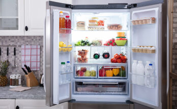 household refrigerator and home freezer market