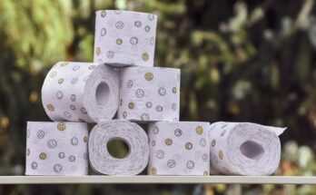 sanitary paper product market