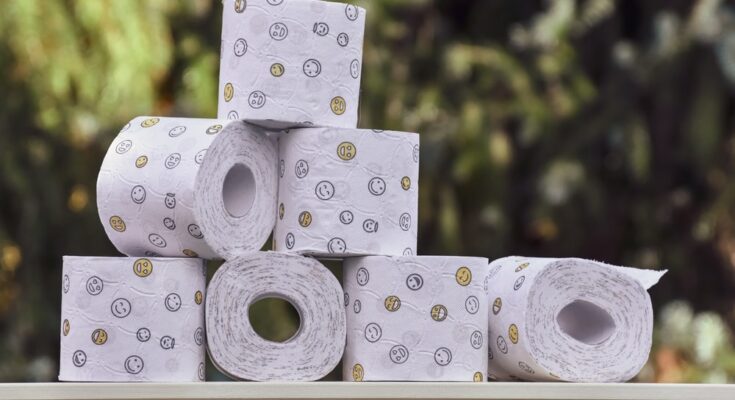 sanitary paper product market