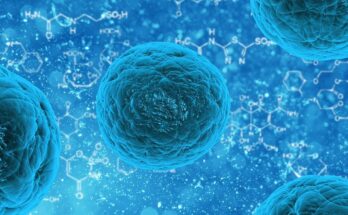 3D cell culture technologies market