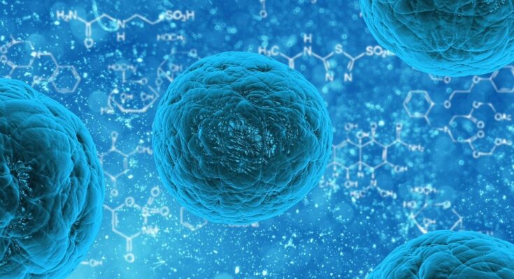 3D cell culture technologies market