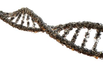 nucleic acid based gene therapy market