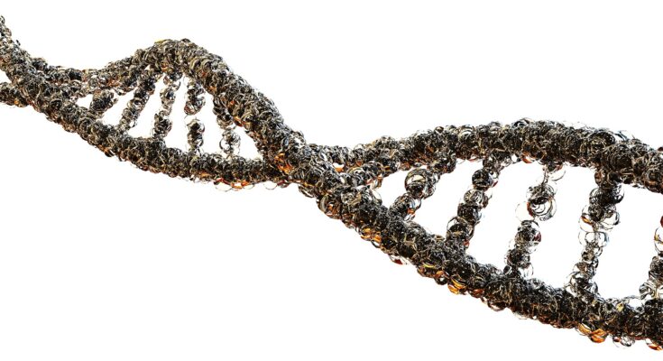 nucleic acid based gene therapy market