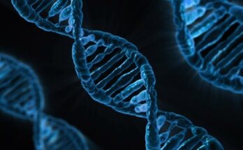 Gene Editing Market