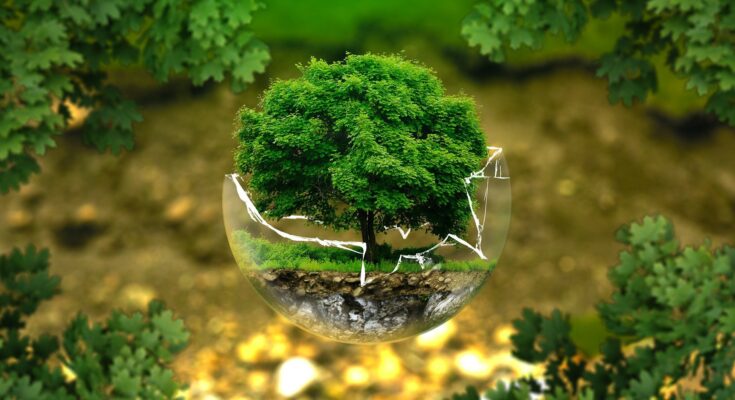 environmental consulting services market