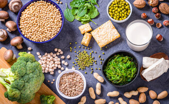 plant-based protein market