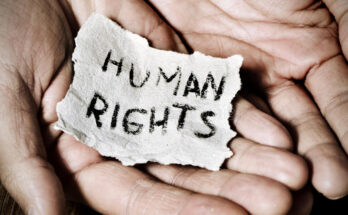 human rights organizations market