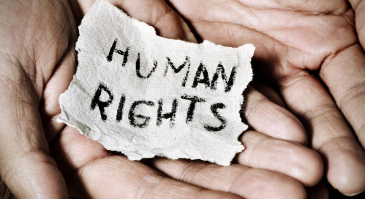 human rights organizations market