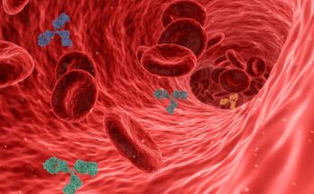 biosimilar monoclonal antibodies market