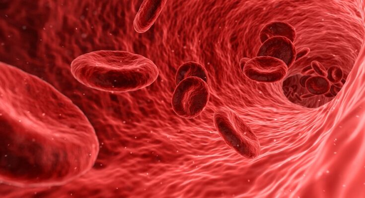 Anticoagulants Market