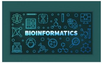 Bioinformatics Market